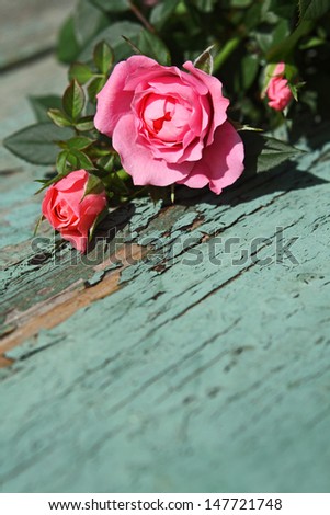 Romantic pink vintage roses background 