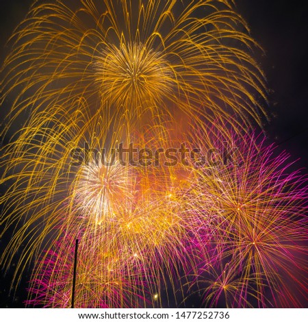 It's a picture of fireworks at Yodogawa Osaka,Japan.