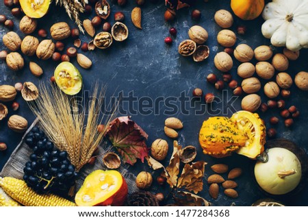 Autumn or thanksgiving background with decorative pumpkin, corn, nuts, grapes and wheat on dark stone table, harvest still life composition with space for text