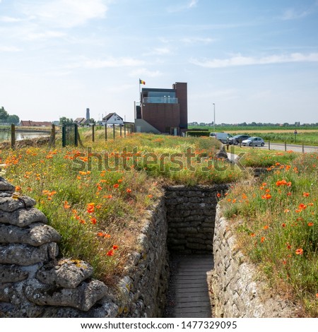 World War I trenches known as Dodengang (Trench of Death) surrounded by poppies. Located near Diskmuide, Flanders, Belgium