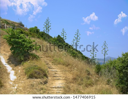 Steps and hiking trail track on Monte Smith. Acropolis of Rhodes Greece Europe. Sunny summer day