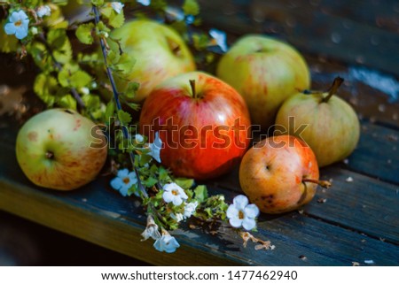 several apples lie on a wooden table