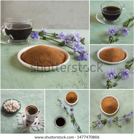 Collage from different pictures of Chicory coffee. A substitute for traditional coffee, a herbal drink from the roots of chicory. 
