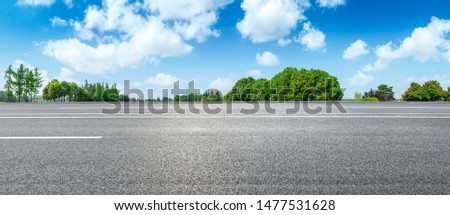 Country road and green woods nature landscape in summer