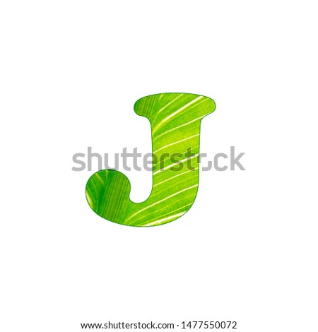 The green plant letter J, letters cut of the background of green sheet