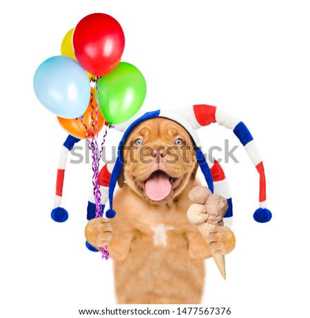 Funny puppy in jester cap with open mouth holding ice cream and balloons. isolated on white background
