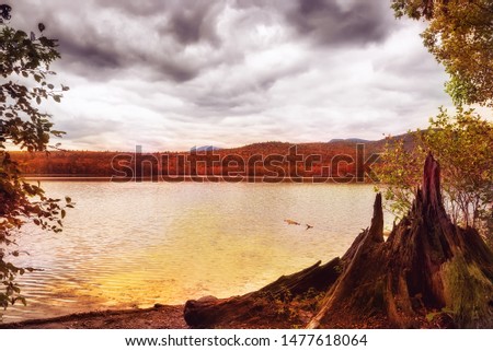 A lake among mountains covered with forests. autumn landscape . White Mountain National Park. USA. New Hamshire.  Chocorua Lake Conservancy
