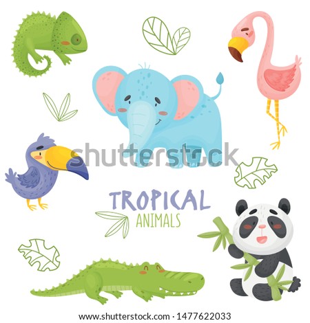 Set of cute cartoon tropical animals in jungle
