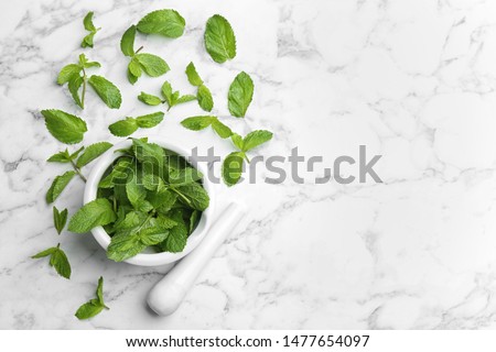 Fresh mint with mortar and pestle on white marble background, flat lay. Space for text