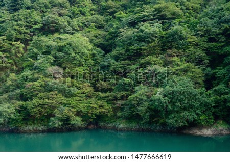 Japanese forest and lake picture