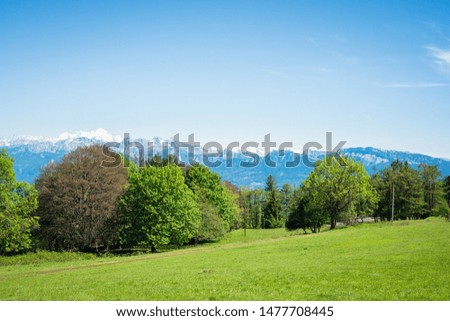 Magic beautiful view from Mont salève route in Alps, France. Countryside image of a meadow with flowers in woods. View to Mont Blanc mountain