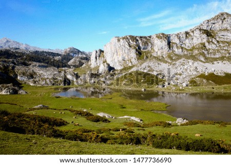 View of Lake Ercina. Lakes of Covadonga in the Picos de Europa. Asturias, Spain