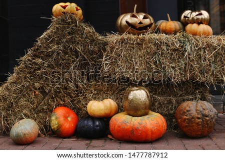 Pumpkins with carved face lie in the hay. Halloween preparation, rustic style.