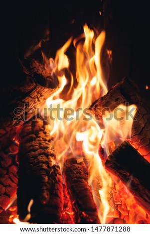 burning fire logs in the fireplace