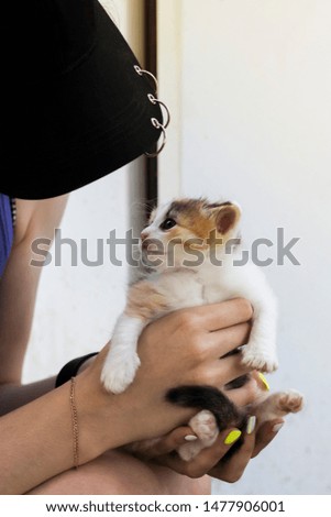 young woman in cap with funny little kitten in hands.