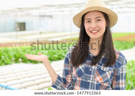 Small business entrepreneur concept : Portrait photo of young attractive beautiful Asian woman harvesting fresh vegetable salad from her hydroponics farm in greenhouse before send to sell at market.