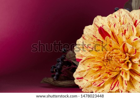 Bright yellow dahlias on a notebook against dark purple background. Autumn, fall romantic concept.