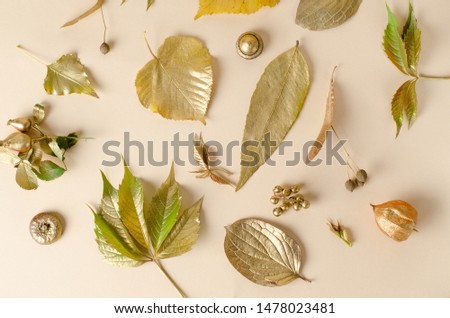 Bright golden autumn leaves, wild apples, and physalis flowers on a white background. Beautiful fall frame. Top view photo.