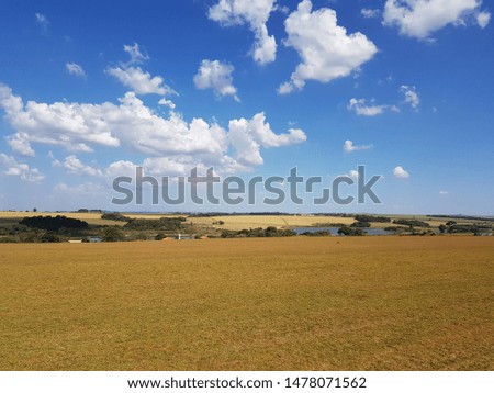 Picture of a farm view