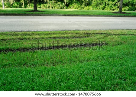 green grass was destroyed by truck or car