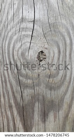 Vintage woody background. Textured surface