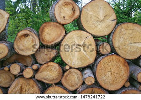 Background with cross sections of several dry pine logs with annual grow rings and pattern of wood. Front view of the woodpile.