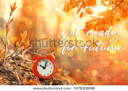 get ready for autumn. clock alarm in sunny fall forest. concept make time for nature, environment. Daylight savings time. fall season. autumn equinox.
