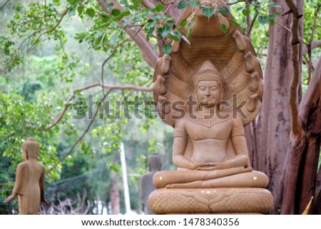 Buddha statue in the trees background.