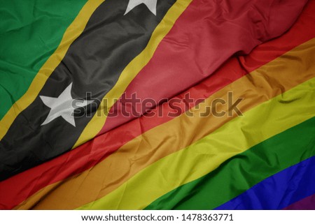 waving colorful gay rainbow flag and national flag of saint kitts and nevis. macro