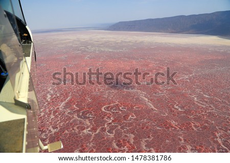 Aerial view of the salt pan and mineral crust with red algae of Lake Natron, in the Great Rift Valley, between Kenya and Tanzania. In the dry season the soda lake attracts huge flocks of flamingos. Royalty-Free Stock Photo #1478381786