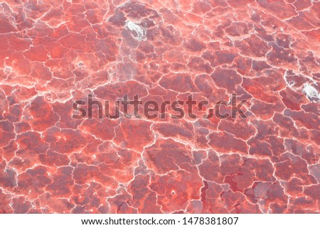 Aerial view of the salt pan and mineral crust with red algae of Lake Natron, in the Great Rift Valley, between Kenya and Tanzania. In the dry season the soda lake attracts huge flocks of flamingos.