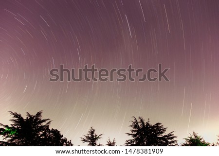 A landscape showing star trails over cedar trees.