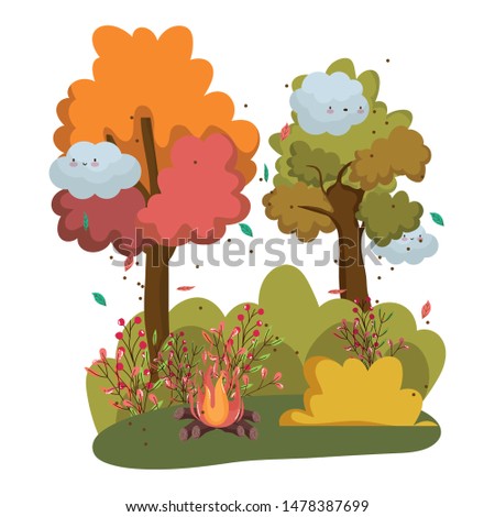 Isolated camp fire vector design
