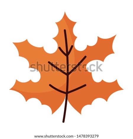 Isolated leaf design, vector illustration