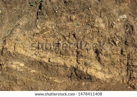 Black earth slice. Earth cross section from pants down to rock Royalty-Free Stock Photo #1478411408