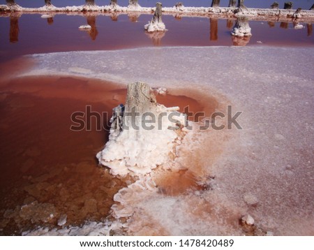 Extraction of salt in the estuary with red water. Salt pillars. The old weathered posts stand in the dry ground and human footprints on the salt peel at sunset. Royalty-Free Stock Photo #1478420489