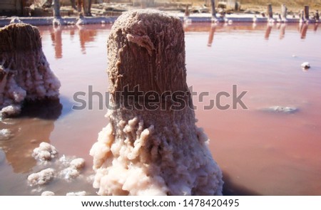 Extraction of salt in the estuary with red water. Salt pillars. The old weathered posts stand in the dry ground and human footprints on the salt peel at sunset. Royalty-Free Stock Photo #1478420495