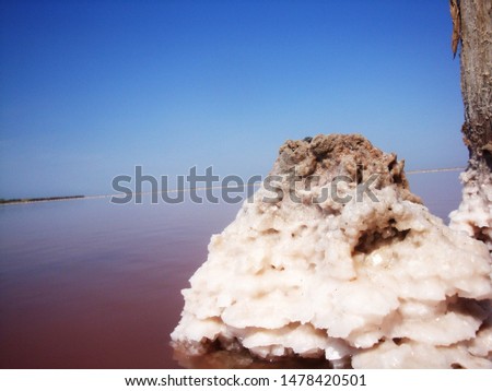 Extraction of salt in the estuary with red water. Salt pillars. The old weathered posts stand in the dry ground and human footprints on the salt peel at sunset. Royalty-Free Stock Photo #1478420501