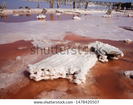 Extraction of salt in the estuary with red water. Salt pillars. The old weathered posts stand in the dry ground and human footprints on the salt peel at sunset. Royalty-Free Stock Photo #1478420507