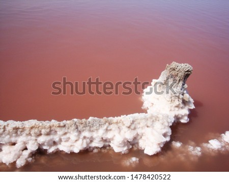 Extraction of salt in the estuary with red water. Salt pillars. The old weathered posts stand in the dry ground and human footprints on the salt peel at sunset. Royalty-Free Stock Photo #1478420522