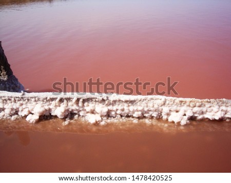 Extraction of salt in the estuary with red water. Salt pillars. The old weathered posts stand in the dry ground and human footprints on the salt peel at sunset. Royalty-Free Stock Photo #1478420525