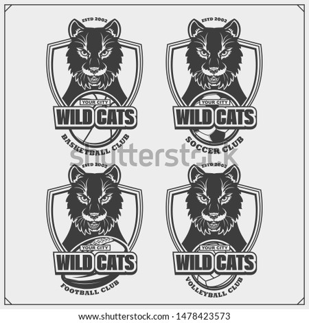 Volleyball, baseball, soccer and football logos and labels. Sport club emblems with wild cat. Print design for t-shirt.