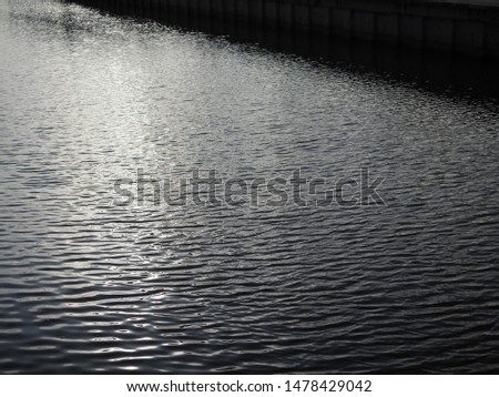 Light reflection in water with very high contrast of black and light.