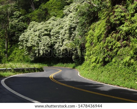 Road green Outdoor Hawaii asphalt 