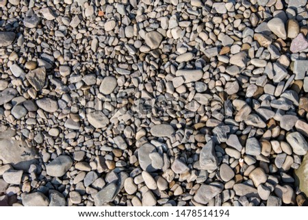 Small stones lying on the Bank of the river, the texture of pebbles