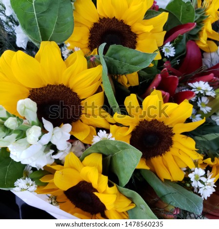 bouquet of sunflower and field flowers