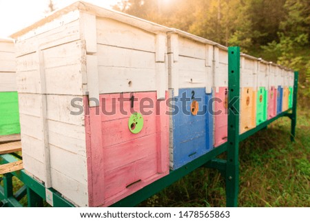 Photo of wooden colored beehives on metallic green stand in the nature. Beekeeping