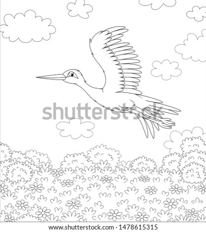 Stork flying over a meadow with wild flowers on a sunny summer day, black and white vector illustration in a cartoon style for a coloring book