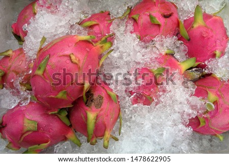 Dragon fruit chilled Fresh color pink
