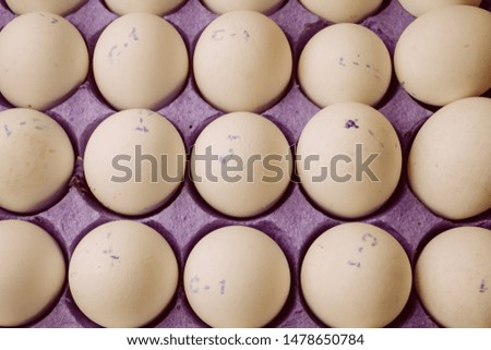 chicken eggs in carton. Chicken eggs in the cell egg tray. Ten fresh white eggs in a container. white chicken egg. vintage photo processing